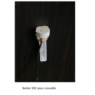 Boitier SDC, crocodile 1/32