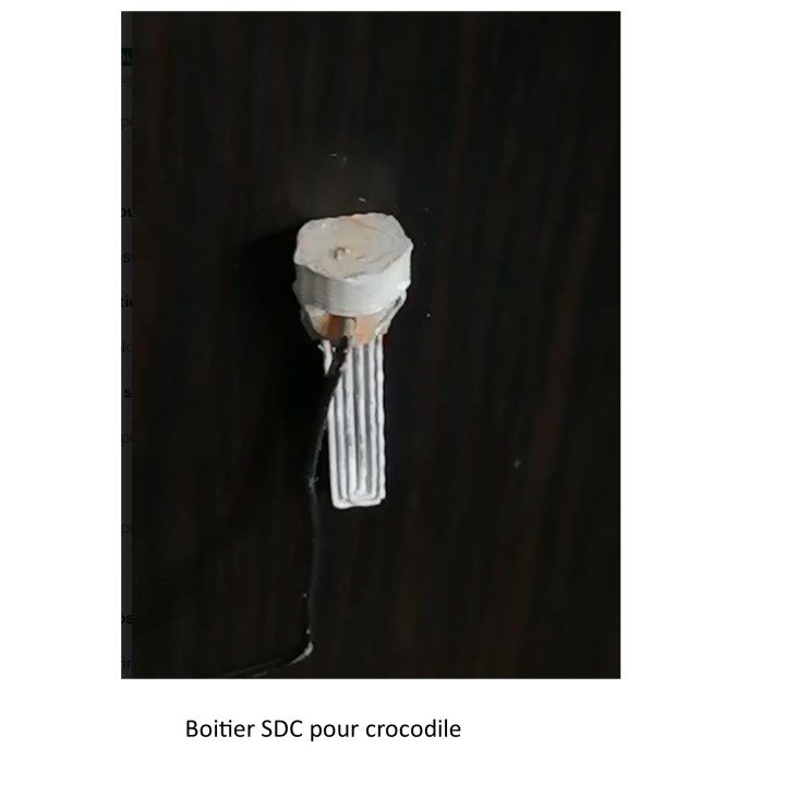 Boitier SDC, crocodile 1/32